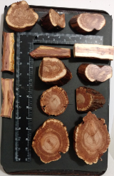 red cedar wood magnets